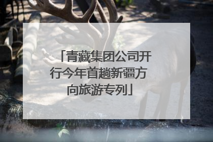 青藏集团公司开行今年首趟新疆方向旅游专列