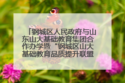 钢城区人民政府与山东山大基础教育集团合作办学暨“钢城区山大基础教育品质提升联盟”签约揭牌活动举行