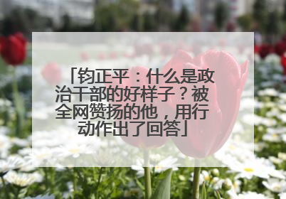 钧正平：什么是政治干部的好样子？被全网赞扬的他，用行动作出了回答