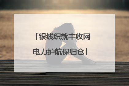 银线织就丰收网 电力护航保归仓