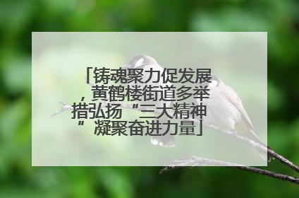 铸魂聚力促发展，黄鹤楼街道多举措弘扬“三大精神”凝聚奋进力量