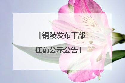 铜陵发布干部任前公示公告