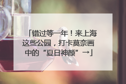 错过等一年！来上海这些公园，打卡莫奈画中的“夏日神颜”→