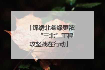 锦绣北疆绿更浓——“三北”工程攻坚战在行动