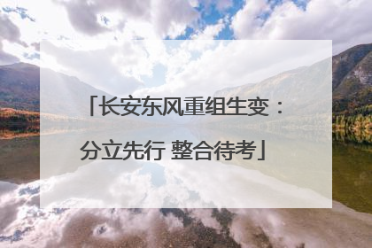 长安东风重组生变：分立先行 整合待考