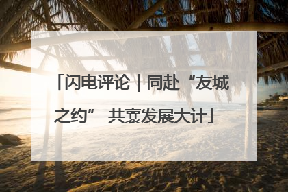 闪电评论｜同赴“友城之约” 共襄发展大计