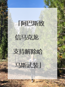 阿巴斯致信马克龙 支持解除哈马斯武装