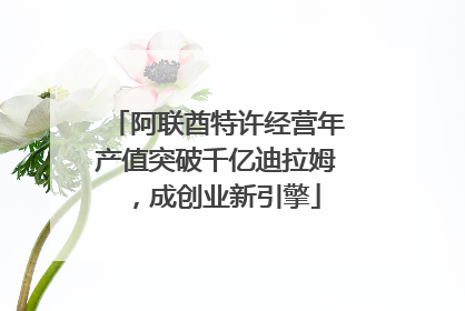 阿联酋特许经营年产值突破千亿迪拉姆，成创业新引擎
