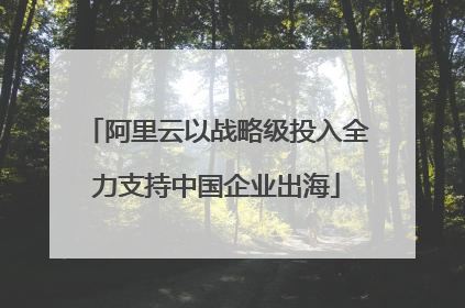 阿里云以战略级投入全力支持中国企业出海
