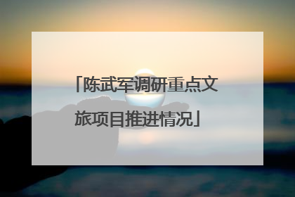 陈武军调研重点文旅项目推进情况