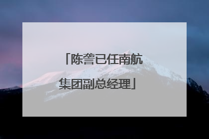 陈詟已任南航集团副总经理