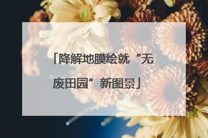 降解地膜绘就“无废田园”新图景