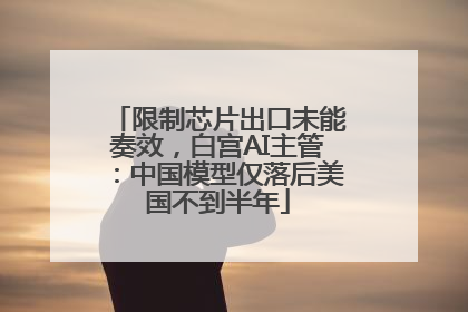 限制芯片出口未能奏效，白宫AI主管：中国模型仅落后美国不到半年