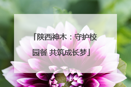 陕西神木：守护校园餐 共筑成长梦