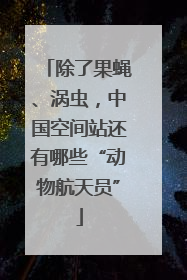 除了果蝇、涡虫，中国空间站还有哪些“动物航天员”