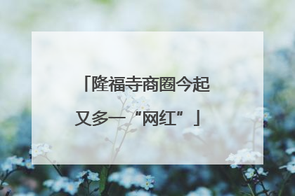 隆福寺商圈今起又多一“网红”