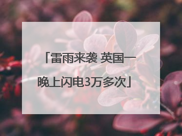 雷雨来袭 英国一晚上闪电3万多次