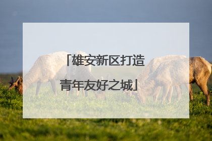 雄安新区打造青年友好之城