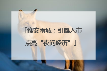 雅安雨城：引摊入市 点亮“夜间经济”
