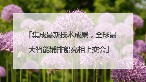 集成最新技术成果，全球最大智能铺排船亮相上交会