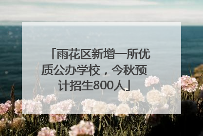 雨花区新增一所优质公办学校，今秋预计招生800人