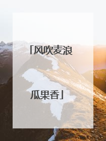风吹麦浪 瓜果香