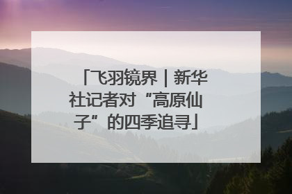 飞羽镜界｜新华社记者对“高原仙子”的四季追寻