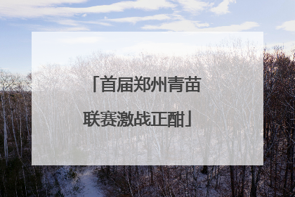 首届郑州青苗联赛激战正酣