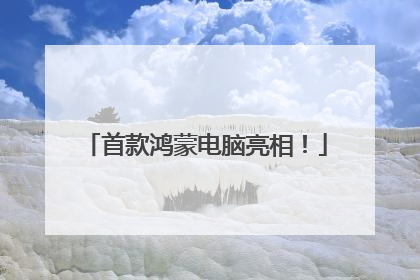 首款鸿蒙电脑亮相！