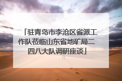 驻青岛市李沧区省派工作队莅临山东省地矿局二四八大队调研座谈