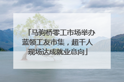 马驹桥零工市场举办蓝领工友市集，超千人现场达成就业意向