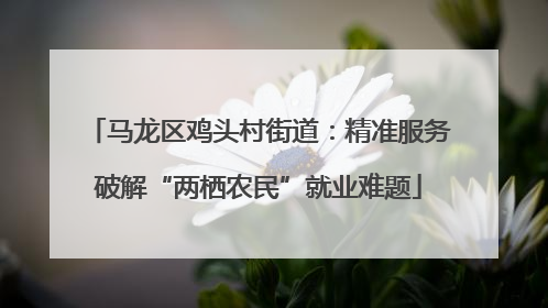 马龙区鸡头村街道：精准服务破解“两栖农民”就业难题