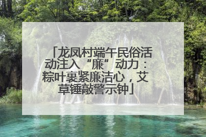 龙凤村端午民俗活动注入“廉”动力：粽叶裹紧廉洁心，艾草锤敲警示钟