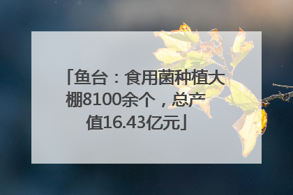 鱼台：食用菌种植大棚8100余个，总产值16.43亿元