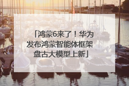 鸿蒙6来了！华为发布鸿蒙智能体框架 盘古大模型上新