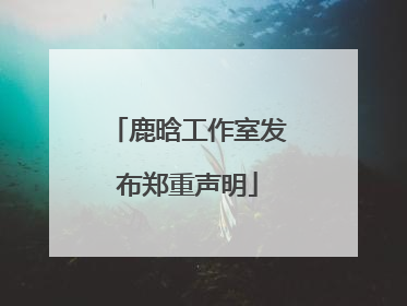 鹿晗工作室发布郑重声明