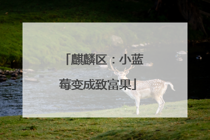 麒麟区：小蓝莓变成致富果