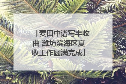 麦田中谱写丰收曲 潍坊滨海区夏收工作圆满完成