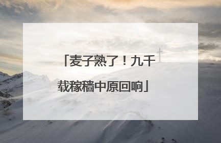 麦子熟了！九千载稼穑中原回响