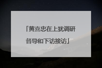 黄喜忠在上犹调研督导和下访接访