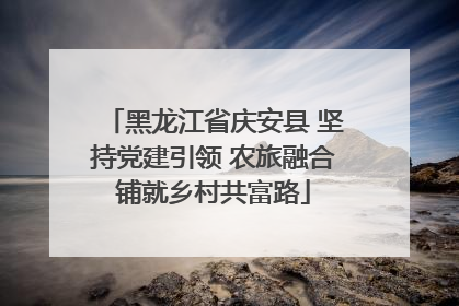 黑龙江省庆安县 坚持党建引领 农旅融合铺就乡村共富路