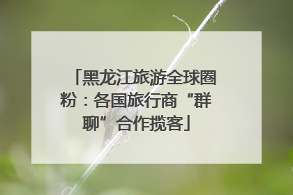 黑龙江旅游全球圈粉：各国旅行商“群聊”合作揽客