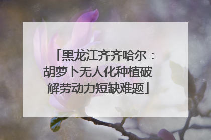 黑龙江齐齐哈尔：胡萝卜无人化种植破解劳动力短缺难题