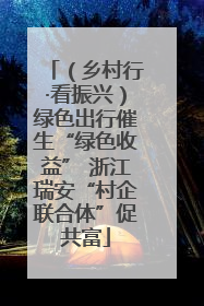 （乡村行·看振兴）绿色出行催生“绿色收益” 浙江瑞安“村企联合体”促共富