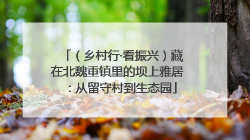 （乡村行·看振兴）藏在北魏重镇里的坝上雅居：从留守村到生态园