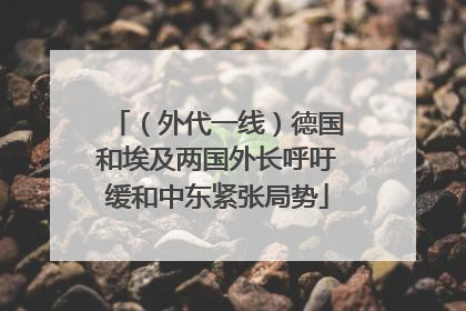 （外代一线）德国和埃及两国外长呼吁缓和中东紧张局势