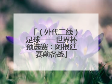 （外代二线）足球——世界杯预选赛：阿根廷赛前备战
