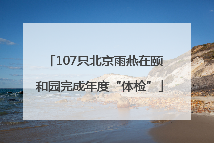 107只北京雨燕在颐和园完成年度“体检”
