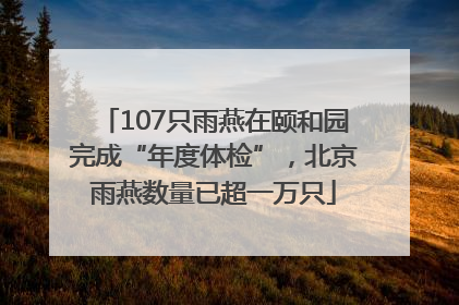 107只雨燕在颐和园完成“年度体检”，北京雨燕数量已超一万只