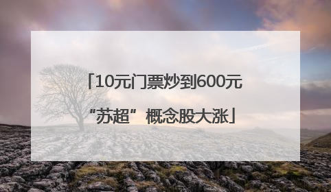 10元门票炒到600元 “苏超”概念股大涨